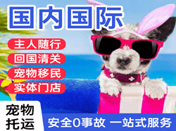 黄山机场快运国际宠物托运 【国